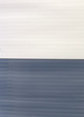 SEINÄLAATTA DESERT OLAS BLANCO 27X50