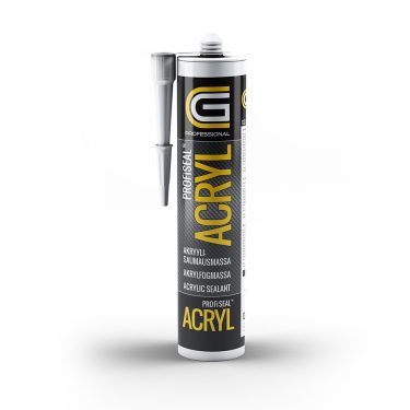 AKRYYLIMASSA VALK.CG 310ML