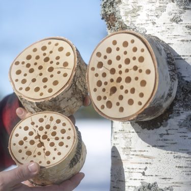 HYÖNTEISHOTELLI PÖRRIÄINEN L