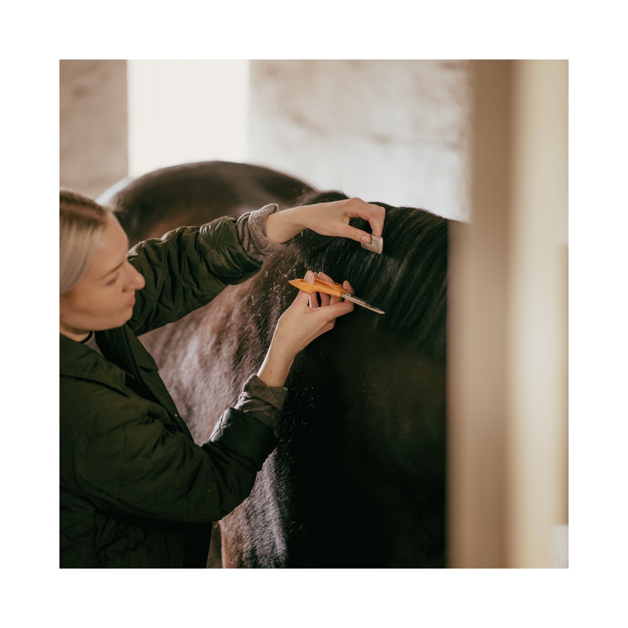 FISKARS CLASSIC YLEISSAKSET 21CM - Image 6