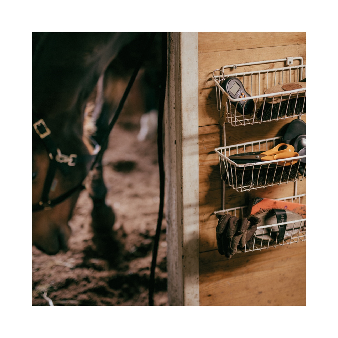 FISKARS CLASSIC YLEISSAKSET 21CM - Image 7